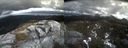 ./images/calvert/buxton2/20220422/buxton220220422_131003M.jpg
