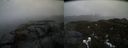 ./images/calvert/buxton2/20220423/buxton220220423_111502M.jpg