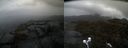 ./images/calvert/buxton2/20220424/buxton220220424_113502M.jpg