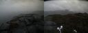 ./images/calvert/buxton2/20220424/buxton220220424_142502M.jpg