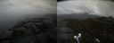 ./images/calvert/buxton2/20220424/buxton220220424_143503M.jpg