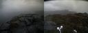 ./images/calvert/buxton2/20220424/buxton220220424_162002M.jpg