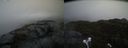 ./images/calvert/buxton2/20220424/buxton220220424_183503M.jpg