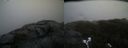 ./images/calvert/buxton2/20220424/buxton220220424_184003M.jpg