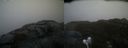 ./images/calvert/buxton2/20220424/buxton220220424_184502M.jpg