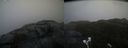 ./images/calvert/buxton2/20220424/buxton220220424_185502M.jpg