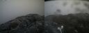 ./images/calvert/buxton2/20220425/buxton220220425_122003M.jpg