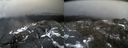 ./images/calvert/buxton2/20220425/buxton220220425_145503M.jpg