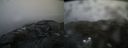 ./images/calvert/buxton2/20220425/buxton220220425_180502M.jpg