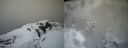 ./images/calvert/buxton2/20220426/buxton220220426_085003M.jpg