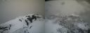 ./images/calvert/buxton2/20220426/buxton220220426_095502M.jpg