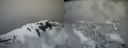 ./images/calvert/buxton2/20220426/buxton220220426_102002M.jpg