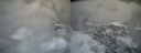 ./images/calvert/buxton2/20220426/buxton220220426_103502M.jpg