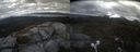 ./images/calvert/buxton2/20220429/buxton220220429_140503M.jpg