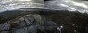 ./images/calvert/buxton2/20220429/buxton220220429_141003M.jpg
