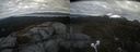 ./images/calvert/buxton2/20220429/buxton220220429_163503M.jpg