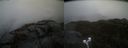 ./images/calvert/buxton2/20220518/buxton220220518_120003M.jpg