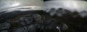 ./images/calvert/buxton2/20220524/buxton220220524_060003M.jpg