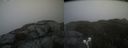 ./images/calvert/buxton2/20220531/buxton220220531_120003M.jpg