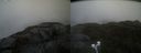 ./images/calvert/buxton2/20220613/buxton220220613_140003M.jpg