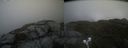 ./images/calvert/buxton2/20220620/buxton220220620_160003M.jpg