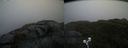 ./images/calvert/buxton2/20220621/buxton220220621_120003M.jpg