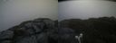 ./images/calvert/buxton2/20220703/buxton220220703_100002M.jpg