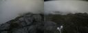 ./images/calvert/buxton2/20220706/buxton220220706_100003M.jpg