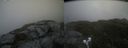 ./images/calvert/buxton2/20220707/buxton220220707_080003M.jpg
