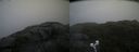 ./images/calvert/buxton2/20220711/buxton220220711_080003M.jpg