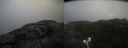 ./images/calvert/buxton2/20220715/buxton220220715_180003M.jpg