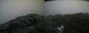 ./images/calvert/buxton2/20220718/buxton220220718_140003M.jpg