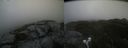 ./images/calvert/buxton2/20220731/buxton220220731_100003M.jpg