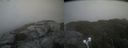 ./images/calvert/buxton2/20220821/buxton220220821_180002M.jpg
