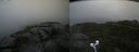 ./images/calvert/buxton2/20220829/buxton220220829_080004M.jpg