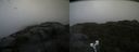 ./images/calvert/buxton2/20220829/buxton220220829_100003M.jpg