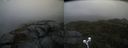./images/calvert/buxton2/20220924/buxton220220924_140002M.jpg