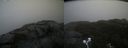 ./images/calvert/buxton2/20221104/buxton220221104_120003M.jpg
