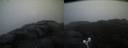 ./images/calvert/buxton2/20221124/buxton220221124_080003M.jpg