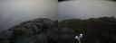./images/calvert/buxton2/20221124/buxton220221124_085503M.jpg