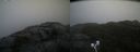 ./images/calvert/buxton2/20221124/buxton220221124_090503M.jpg