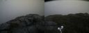 ./images/calvert/buxton2/20221124/buxton220221124_094502M.jpg