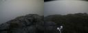 ./images/calvert/buxton2/20221124/buxton220221124_095502M.jpg