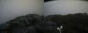 ./images/calvert/buxton2/20221124/buxton220221124_102502M.jpg