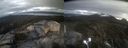./images/calvert/buxton2/20230106/buxton220230106_155003M.jpg