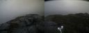 ./images/calvert/buxton2/20230206/buxton220230206_144503M.jpg