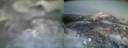 ./images/calvert/buxton2/20230221/buxton220230221_181502M.jpg
