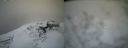 ./images/calvert/buxton2/20230313/buxton220230313_140003M.jpg