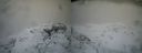 ./images/calvert/buxton2/20230314/buxton220230314_160002M.jpg