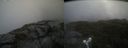 ./images/calvert/buxton2/20230721/buxton220230721_140003M.jpg